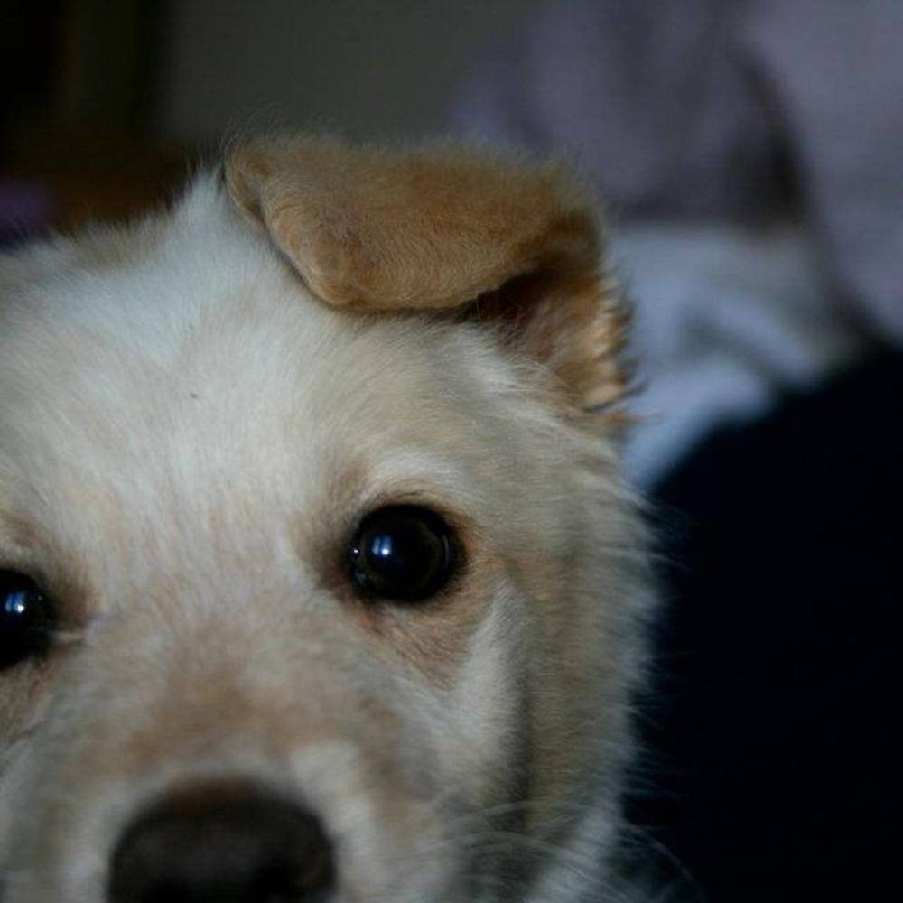 Meet your Posher, Julia